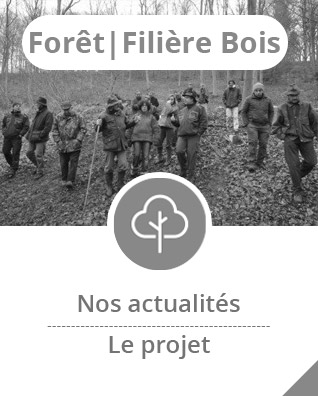 fbnb