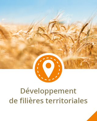 soutient-filiere-loc