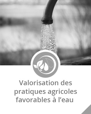 nb-Valorisation-économique
