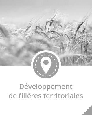 soutient-filiere-locnb