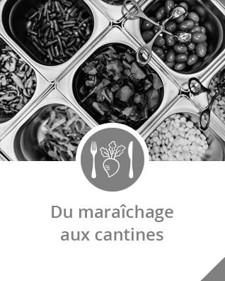 nbDu-maraichage-aux-cantines