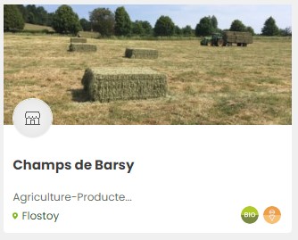 ChampsBarsy