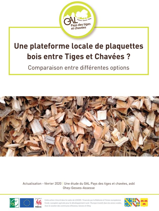 plaquettes