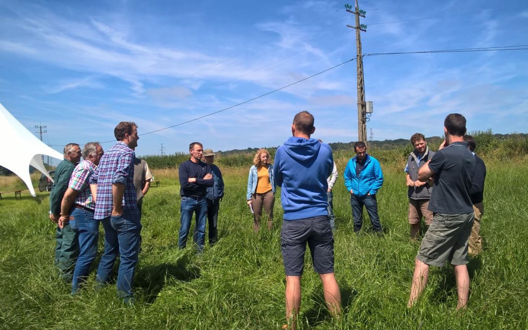 Séance d&rsquo;info sur la gestion des prairies